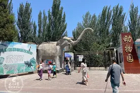 恢复开园啦！大同公园动物园的萌宠有啥变化？图片