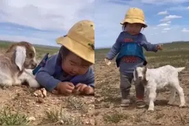 萌娃被小羊“偷袭”，不气反笑憨态可掬，网友：月牙眼太治愈了图片