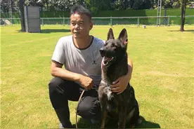 洛阳一老人被困深山多日被搜救犬找到！搜救犬鼻子有多灵？实验告诉您图片