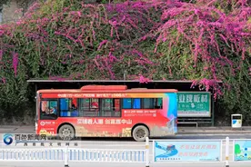 百色这个公交站被鲜花“包围”，颜值爆表图片