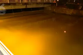 啥情况？大观河里的鱼儿不停冒头吐泡泡图片