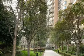 为了便宜买2楼新房，我入住近一年，用亲身经历来谈谈是否后悔过图片