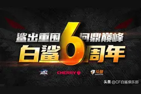 鲨出重围 问鼎巅峰 白鲨六周年图片