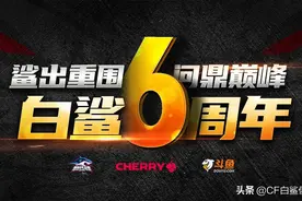 鲨出重围 问鼎巅峰 白鲨六周年图片