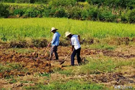 为何农村会有人来测量房子？是要拆迁了吗？到底要做啥呢？图片