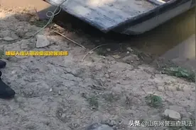 现实版"疯狂的石头"！价值六百万陨石被盗，竟然是他们干的……图片