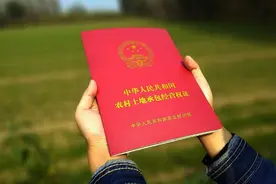 农业农村部答复：允许承包地有偿退出，看看一亩地能补偿多少钱？图片