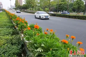 解放西路立交桥“变了”，你发现了吗？图片