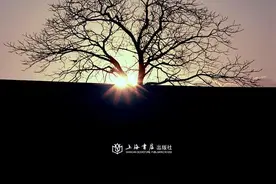热爱性是否有问题？禁欲是必须的吗？《与神对话》中关于性的启发图片