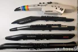 「安颐爸爸说」AKAI雅佳EWI SOLO 电吹管体验 2图片