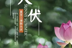 老话说：入伏吃只鸡，一年好身体，吃这种鸡才对，老传统别错过图片