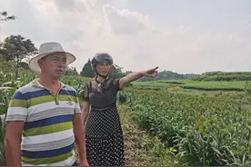 赶紧来看！南充嘉陵的龙蟠又给你放出这样一个“大招”了图片