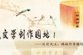 石缝间的生命：文/陈文野图片
