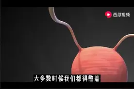 憋尿的极限是多久？图片