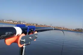 一到中午就停口该怎么办？频繁补窝是下策，教你一招打开鱼口图片