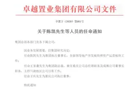 知名地产人陈凯加盟卓越集团，任集团执行董事长图片