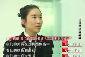 追求时尚炫酷有它陪伴？未成年人买卖稀有蜥蜴触犯《刑法》图片