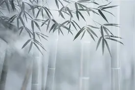 竹纤维衬衫已上线！快让你的衬衫“呼吸”起来图片