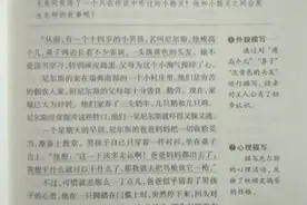 尼尔斯骑鹅旅行记图片