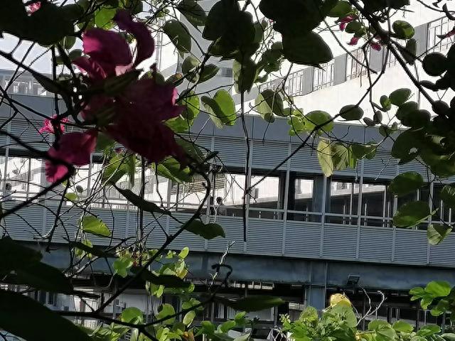 网贷逾期人民调解委员会，网贷逾期人民调解委员会给我打电话 配图02