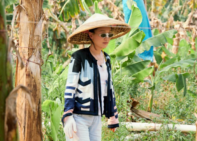 陶虹当着"前夫"面,吐槽徐峥,为综艺也是拼了(何炅陶虹爱的证明) - 冷