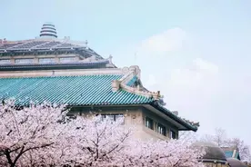 《樱花慢慢落》，致敬因公殉职的一线医护人员！图片
