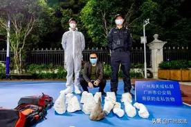 宝马车后备箱惊现犀牛角！广州海关破获一起走私濒危野生动物制品案图片