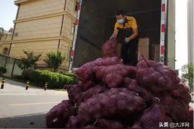 女子买一吨洋葱给前男友，有后续：“转手卖了1000多”图片