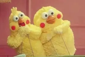 交警连续2天揪出“山寨”救护车 行驶证都是伪造的图片