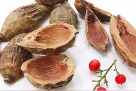 嚼槟榔致癌又上瘾，为何管不住？当心“嚼”出来的癌症图片