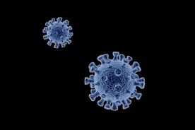 印度发现的Delta变异毒株惊现“升级版”？研究称其对“抗体鸡尾酒疗法”或具耐药性图片