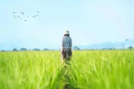 一个人痛苦的根源：格局太小图片