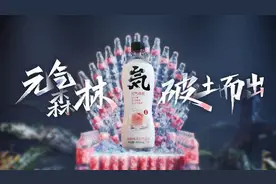 品牌洞察｜深度解析网红品牌元气森林的“登顶密码”图片