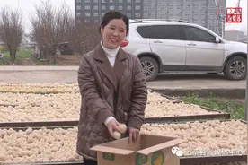 上蔡蔡都梁庄：小变蛋变出大产业图片