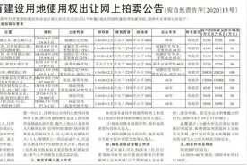 惊雷！南阳前地王卧龙府东地块被挂牌重拍图片
