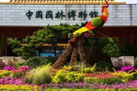 走进中国园林博物馆，园说II颐和园建园270周年文物特展等你来！图片