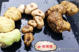 中华草药之黄精图片
