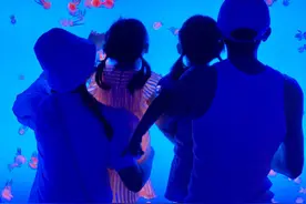张杰晒全家福庆结婚九周年，与谢娜一人抱一娃，一家四口超幸福图片