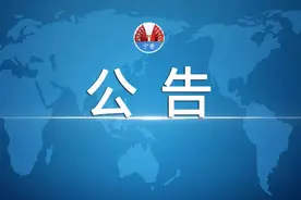 宁晋县2020年城区小学招生摸底公告图片