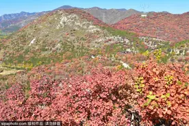 舞彩浅山即将进入观赏期，带家人去登高赏景吧！图片