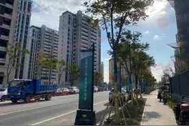 顾村：价格被低估？未来还有哪些发展点图片