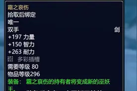 魔兽世界中玩家无法获取的NPC武器图片