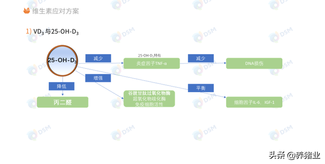 李曼大会听课笔记连载（二）（母猪营养、生长速度、应激、无抗）