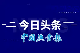 11只救治康复海龟放归大海图片