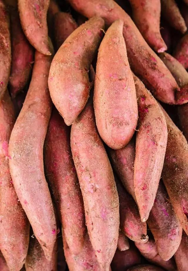 最好的地下块根、块茎膨大素，只需喷2遍，增产十分显著