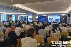 第五届丝博会 宝鸡凤翔区成功签约新能源、特色农业等8个项目图片