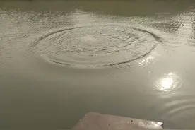 捕黄鳝能赚多少钱？老农说一个月能赚2万，看看他是怎么赚到的？图片