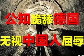 暴打公知！「良心」下水道，坑了多少中国人？大雨浇灭德国神话？图片