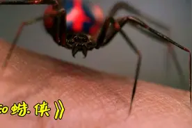 将彼得咬成蜘蛛侠的那只蜘蛛后来怎么样了？后续故事漫威都不敢拍图片