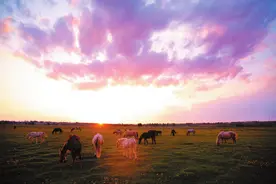 内蒙古与陕西交界有个县，一半沙漠一半绿洲，风景秀丽震撼心灵图片